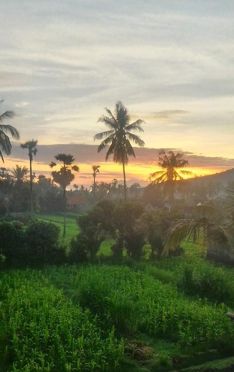 Villa Bali Blue Gecko Amed (Bali)