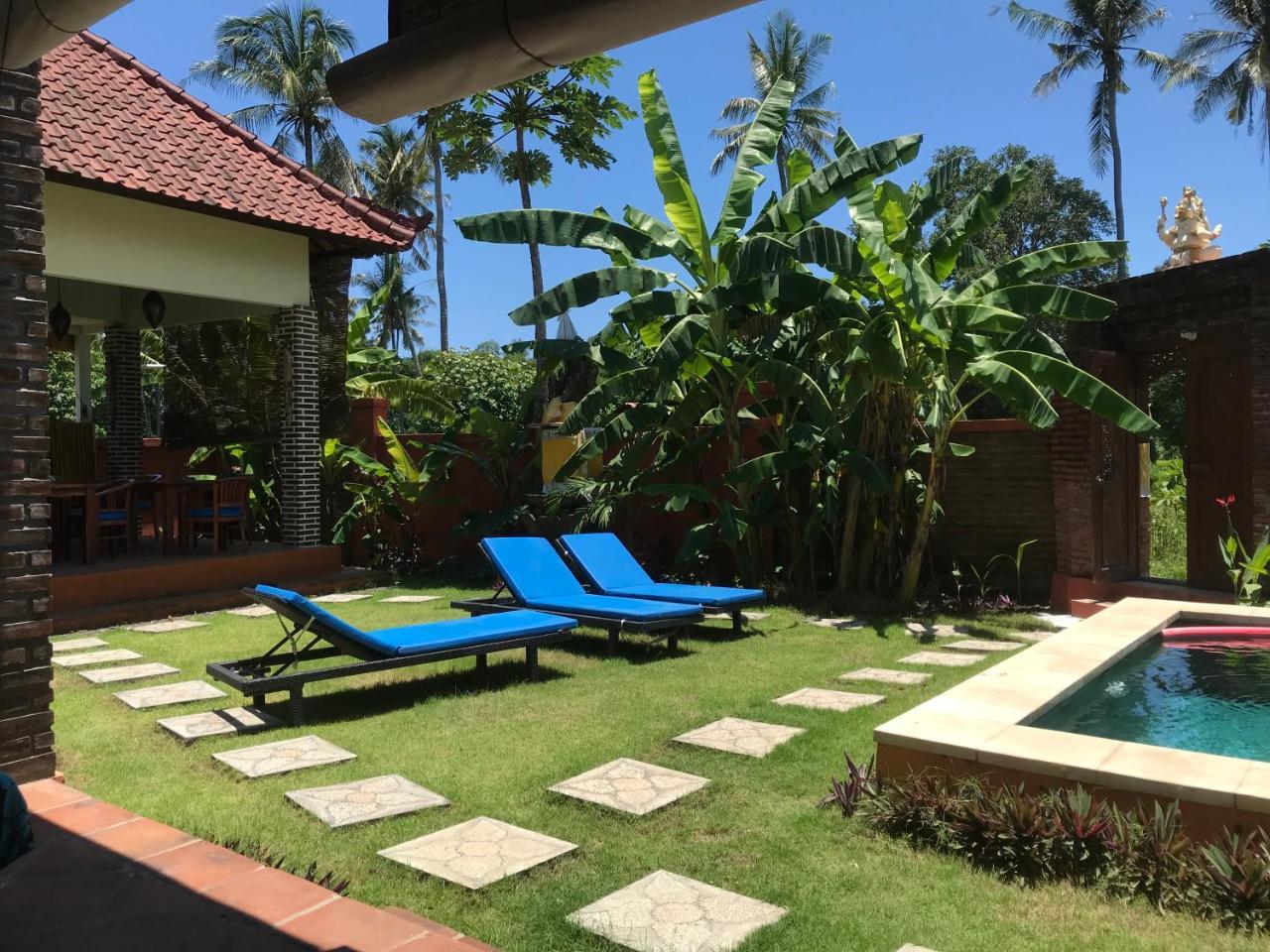 Bali Blue Gecko Amed (Bali)